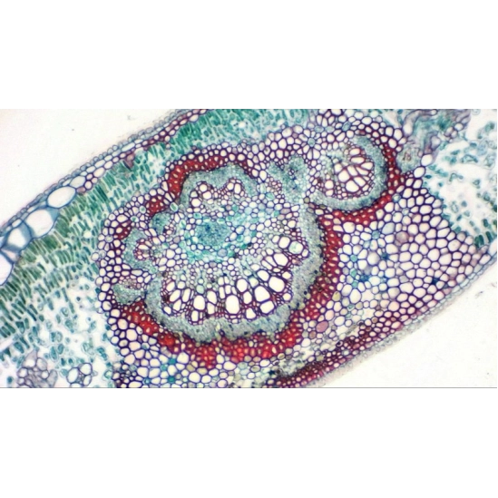 USB Full HD kamera Bresser