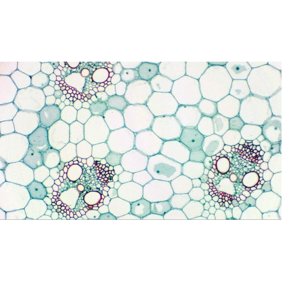 USB Full HD kamera Bresser