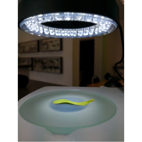 Omegon LED kruh pro ICD                                                                                                                                                                                                                                   