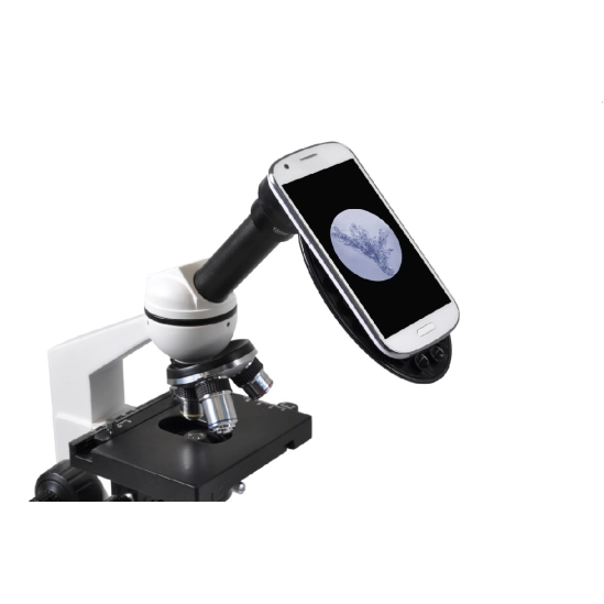 Erudit Basic Mono 40x - 400x                                                                                                                                                                                                                              