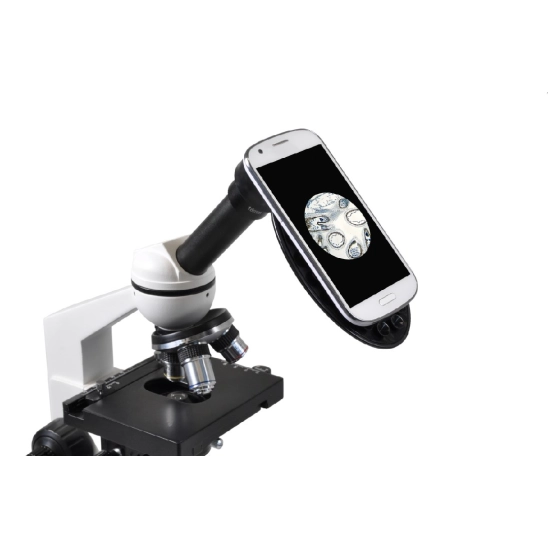 Erudit Basic Mono 40x - 400x                                                                                                                                                                                                                              