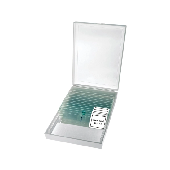 Erudit Basic Mono 40x - 400x                                                                                                                                                                                                                              