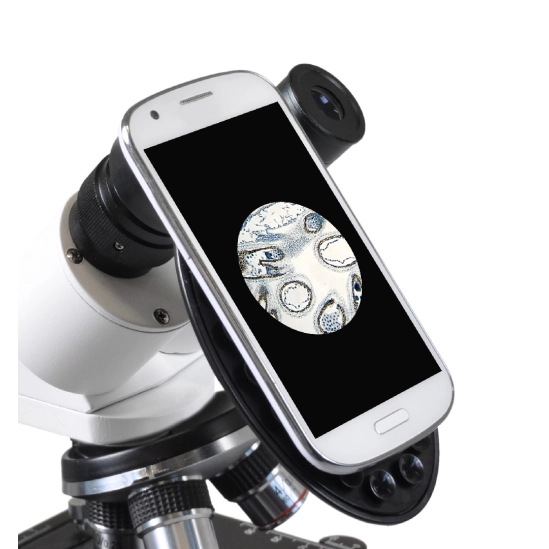 Erudit Basic Bino 40x - 400x                                                                                                                                                                                                                              