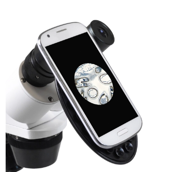 Erudit ICD LED 20x/40x                                                                                                                                                                                                                                    