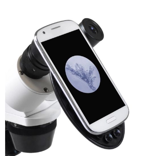 Erudit ICD LED 20x/40x                                                                                                                                                                                                                                    