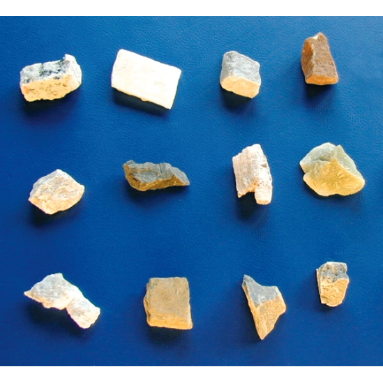 Biolux Junior ICD Pro 20x/50x                                                                                                                                                                                                                             