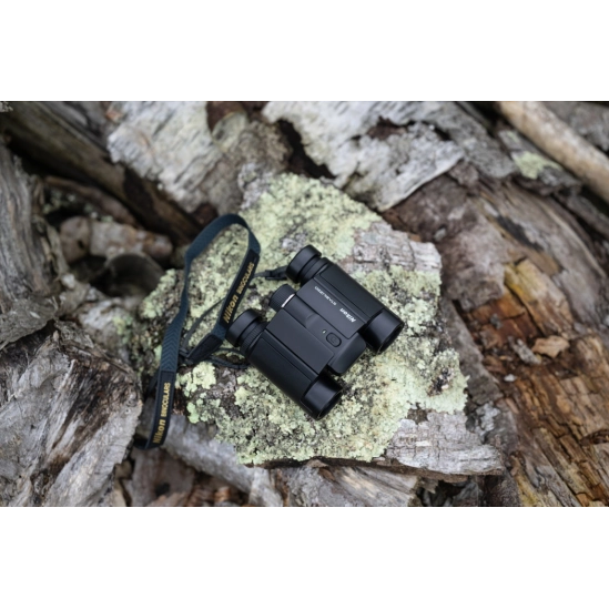 Nikon Stabilized 12x25 S