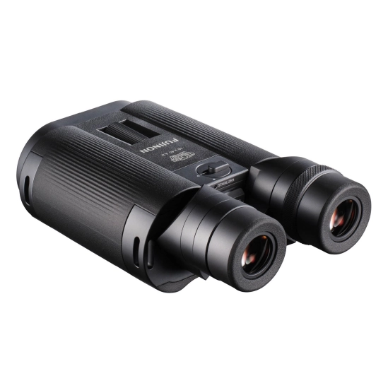 FUJINON TS-L 16x40 WP Techno-Stabi