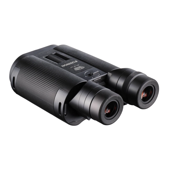 FUJINON TS-L 20x40 WP Techno-Stabi